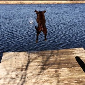 Meet your Posher, Chris